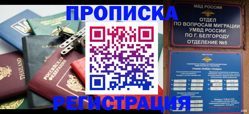 временная регистрация недорого в Шали